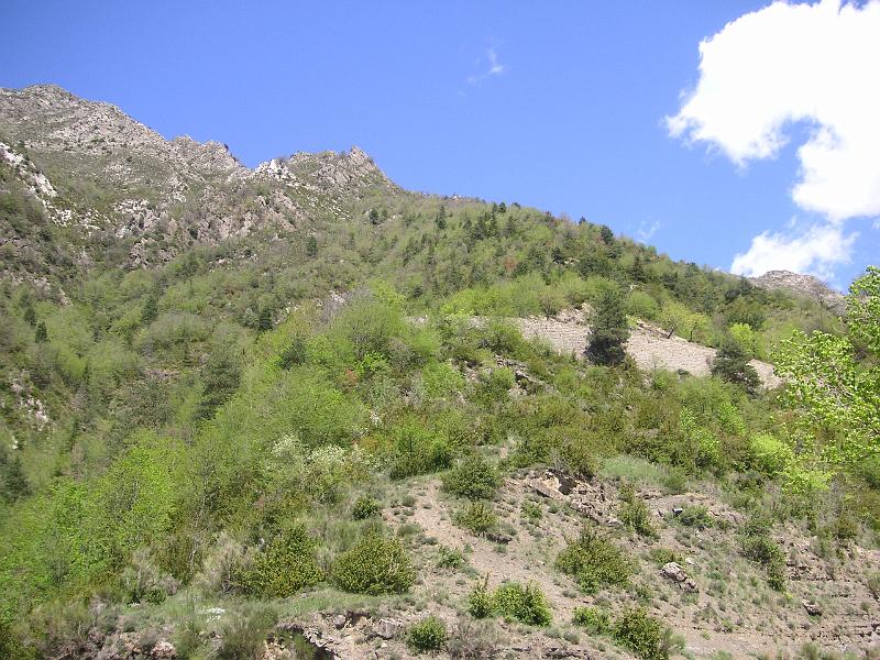 PICT0236.JPG