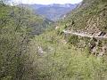 PICT0230