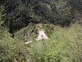 PICT0232