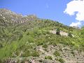 PICT0236