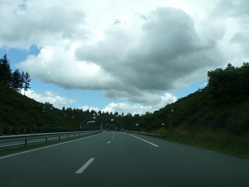 P1030350.JPG