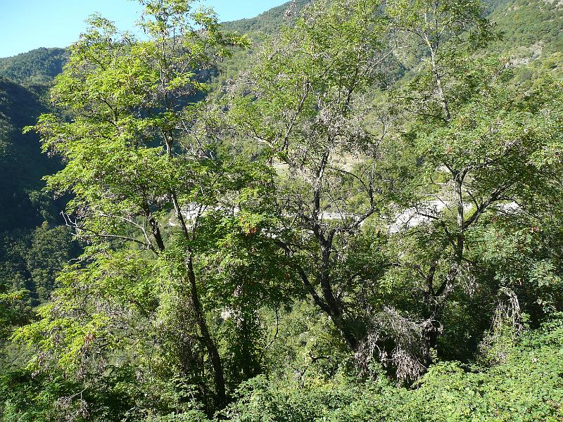 P1060836.JPG