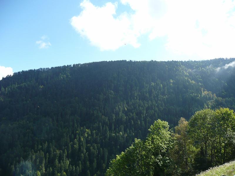 P1060929.JPG