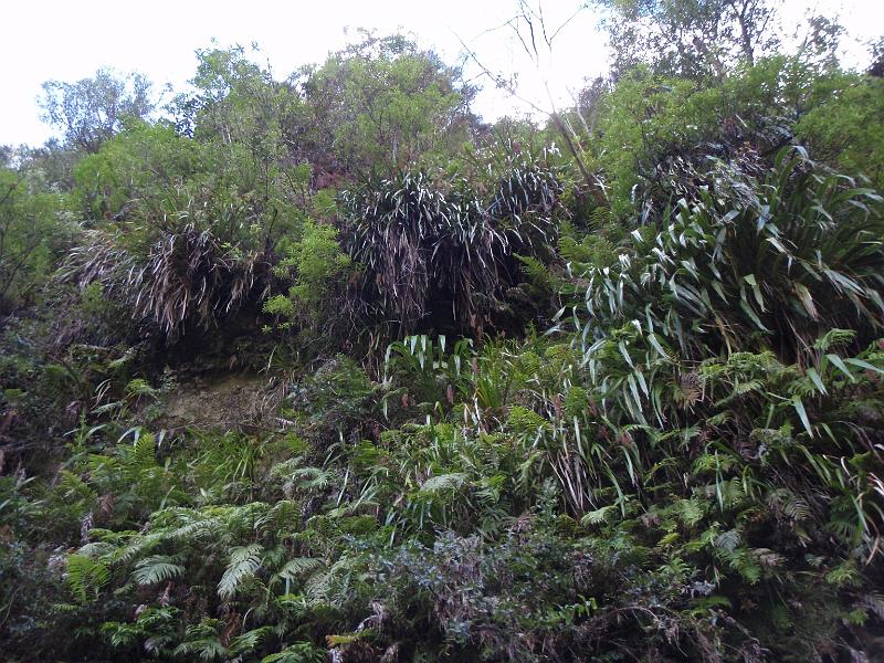 P2022842.JPG