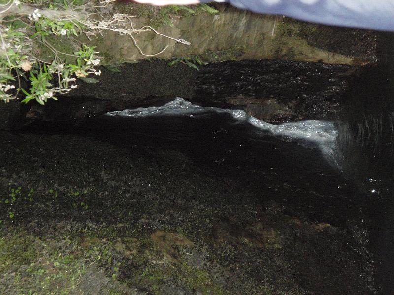P2022843.JPG