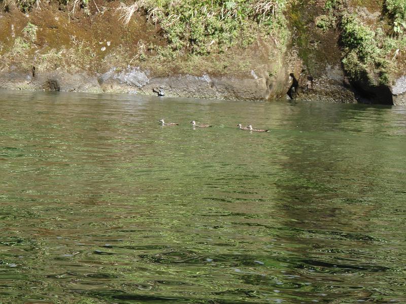 P2022844.JPG