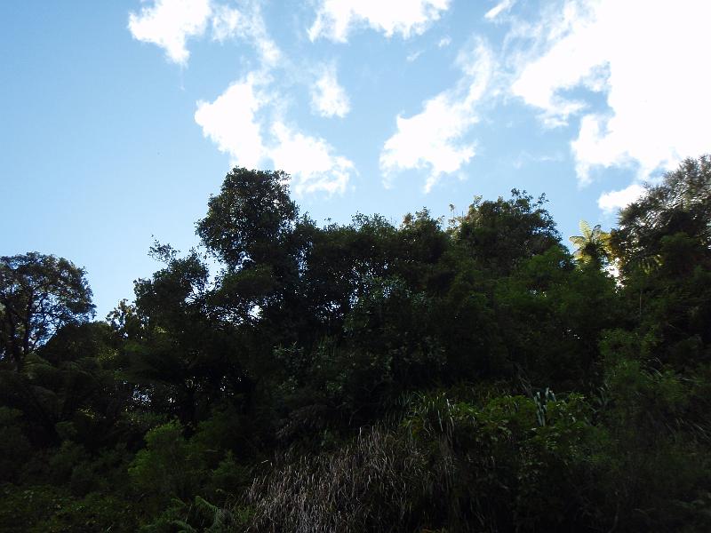 P2022845.JPG