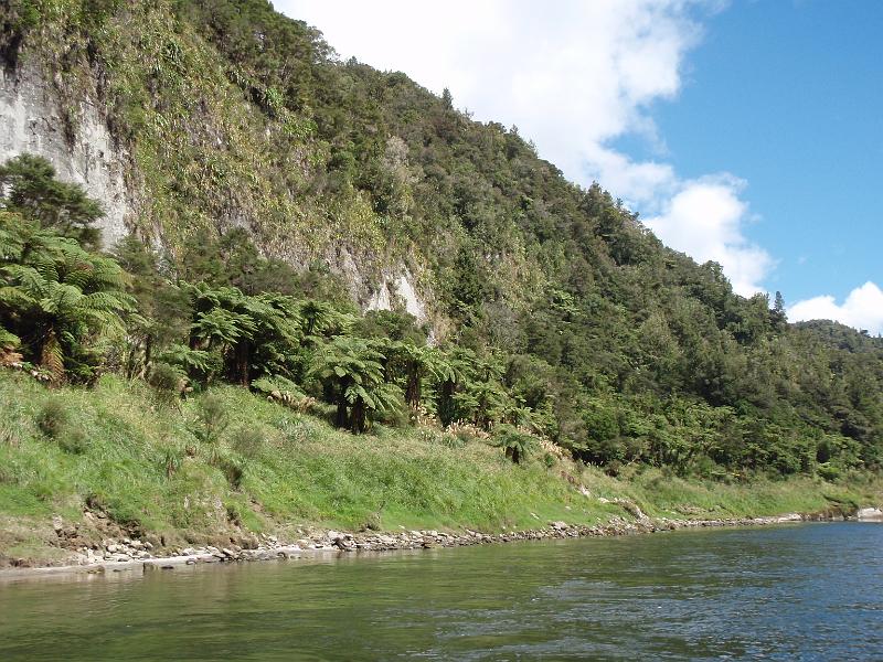 P2022850.JPG