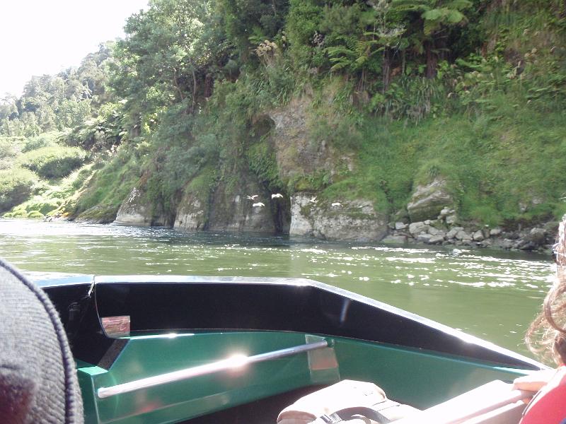 P2022853.JPG