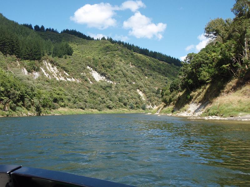 P2022869.JPG