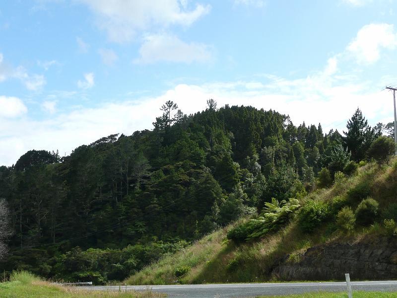P1030819.JPG