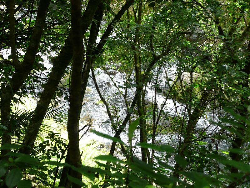 P1030835.JPG
