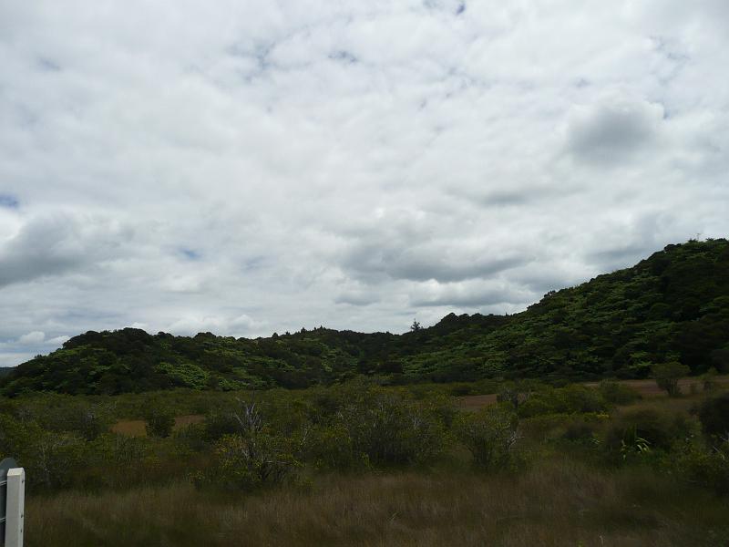 P1030953.JPG