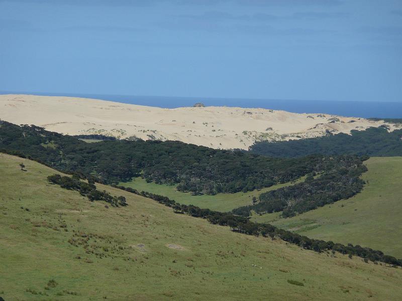 P1040007.JPG