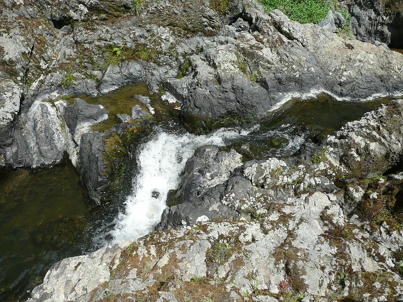 P1040134.JPG