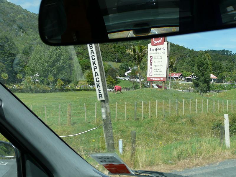 P1040139.JPG