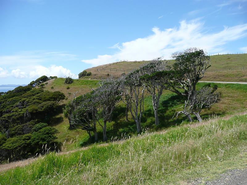 P1040166.JPG