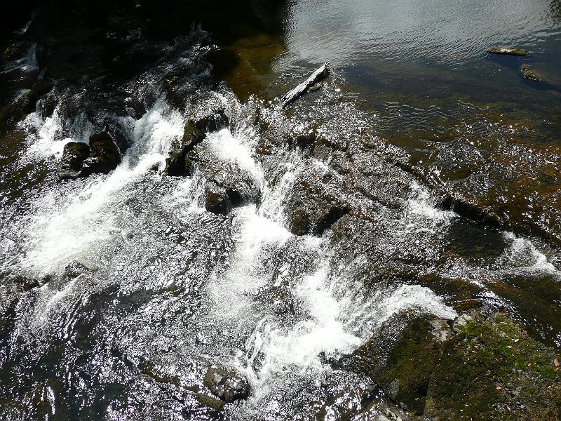 P1040463.JPG