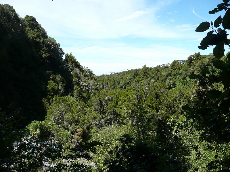 P1040618.JPG