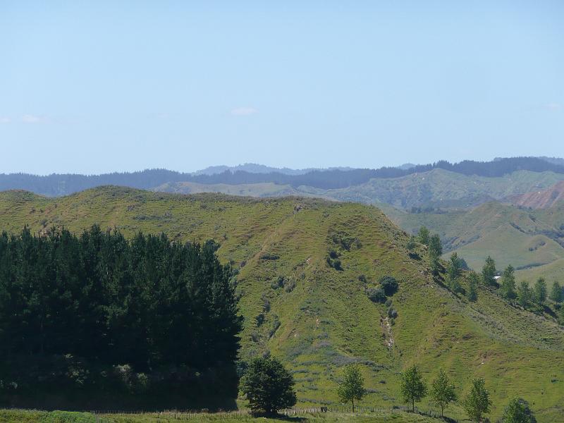 P1040636.JPG