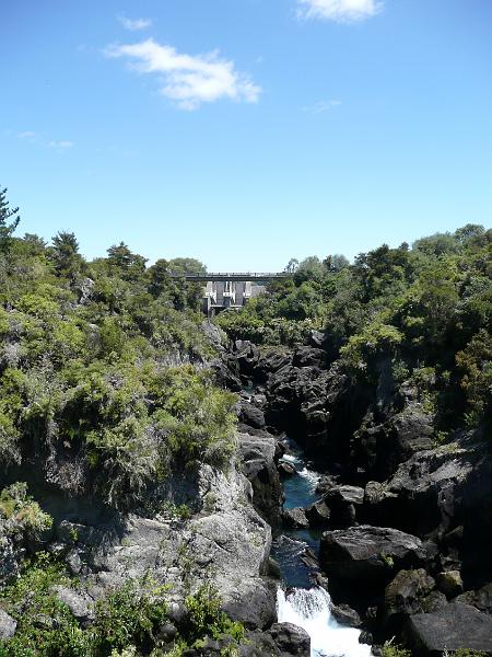 P1040731.jpg