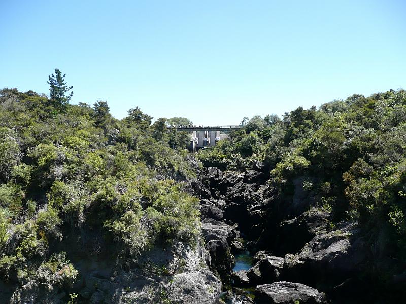 P1040734.JPG