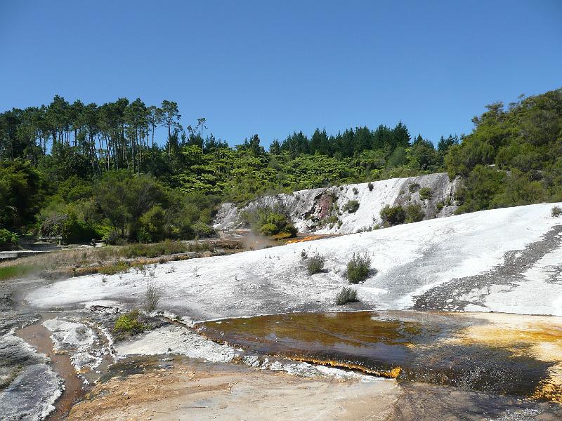 P1040767.JPG