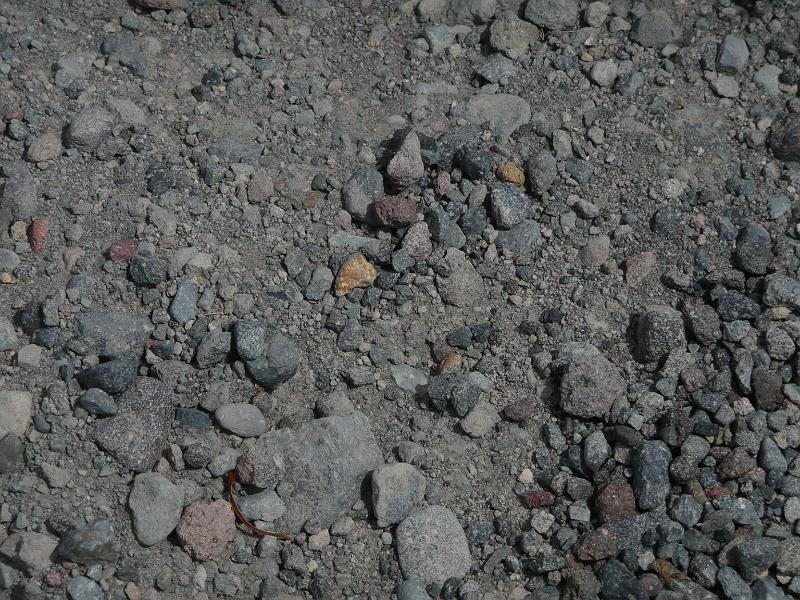 P1040846.JPG