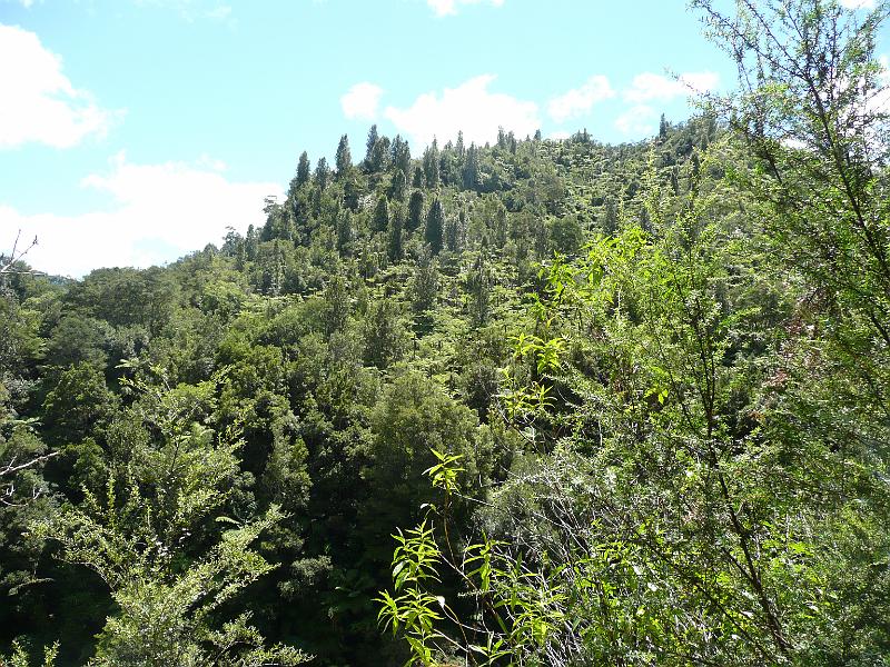 P1040874.JPG