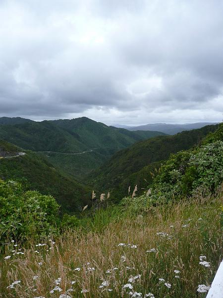 P1040937.jpg