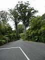 P1040120