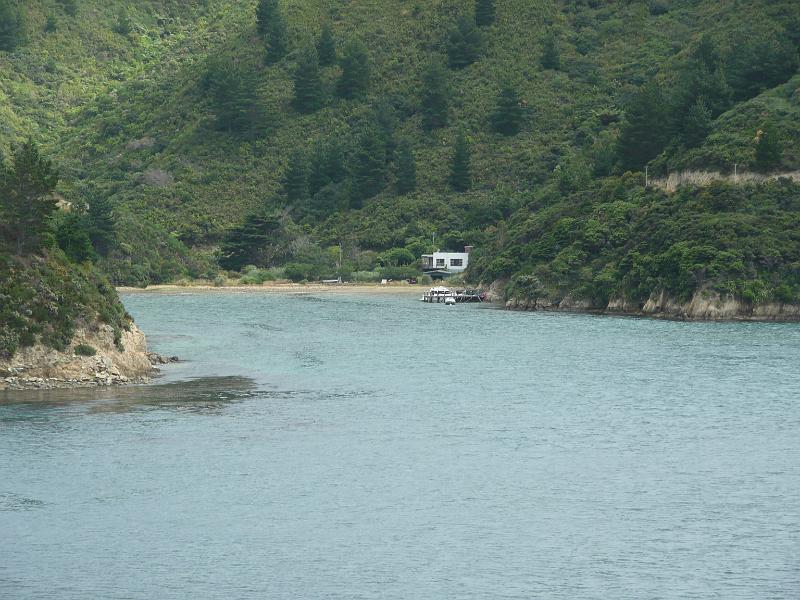 P1050011.JPG