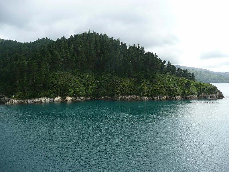 P1050014.JPG
