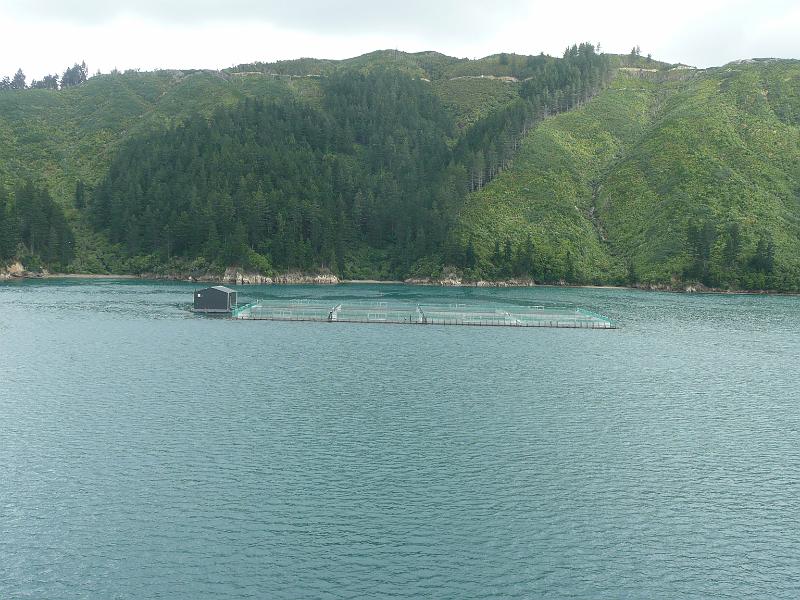 P1050016.JPG