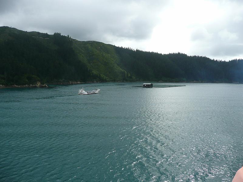 P1050017.JPG