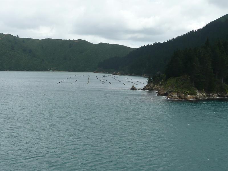 P1050020.JPG