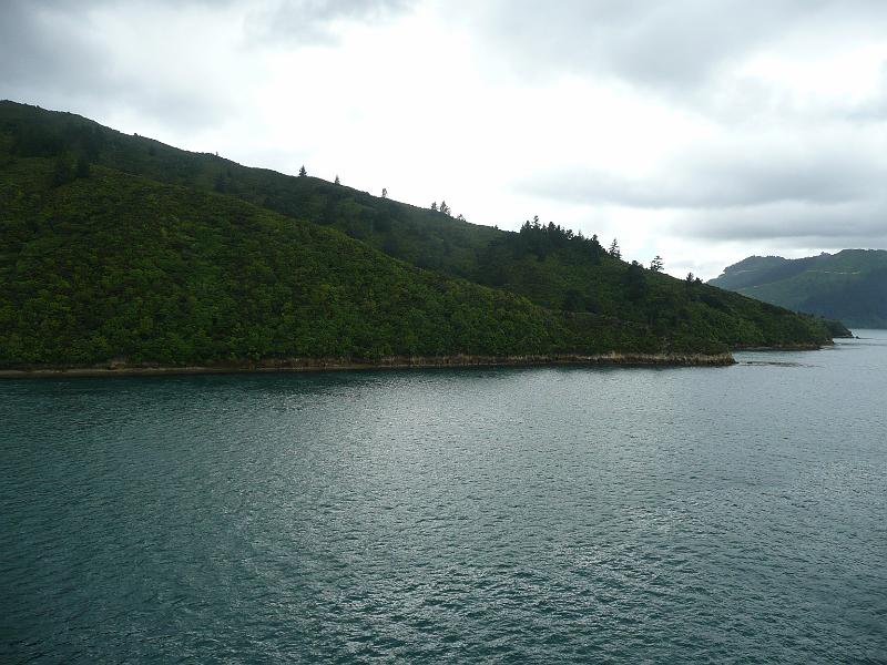 P1050021.JPG