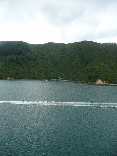 P1050022.jpg