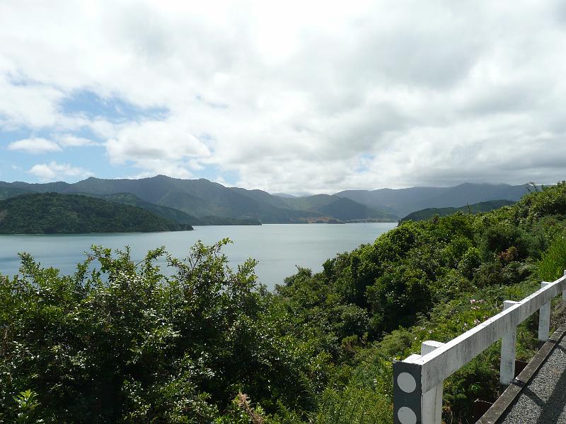 P1050039.JPG