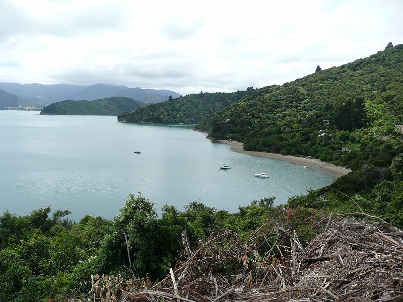 P1050040.JPG