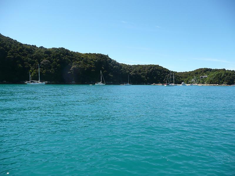 P1050054.JPG