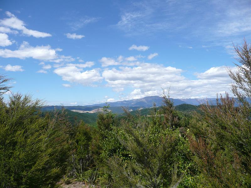 P1050063.JPG