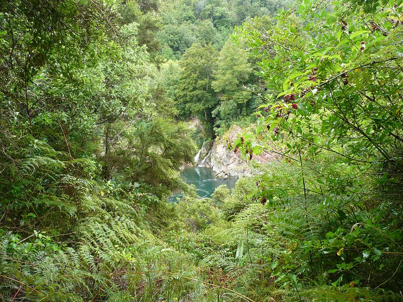 P1050074.JPG