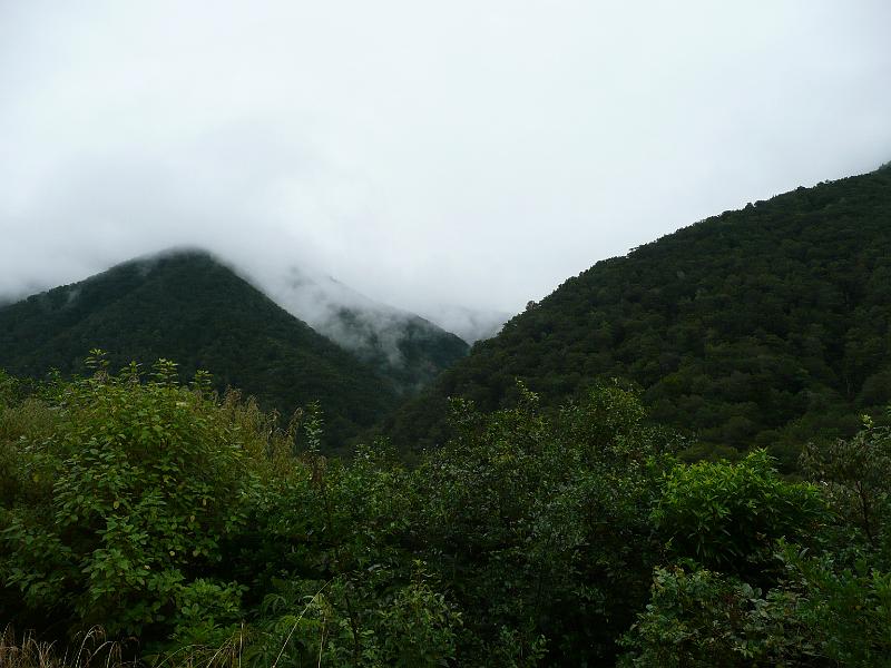 P1050091.JPG
