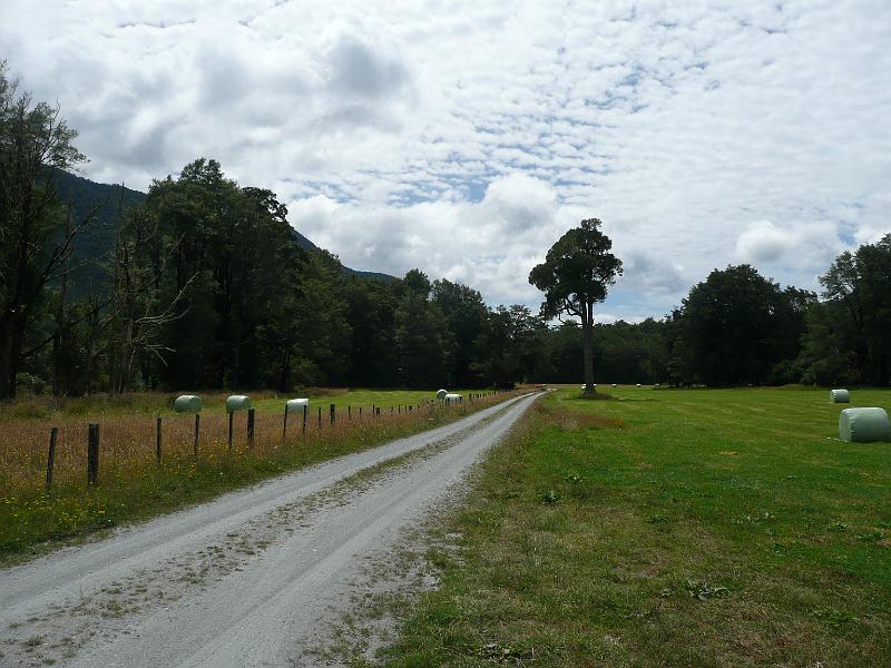 P1050101.JPG