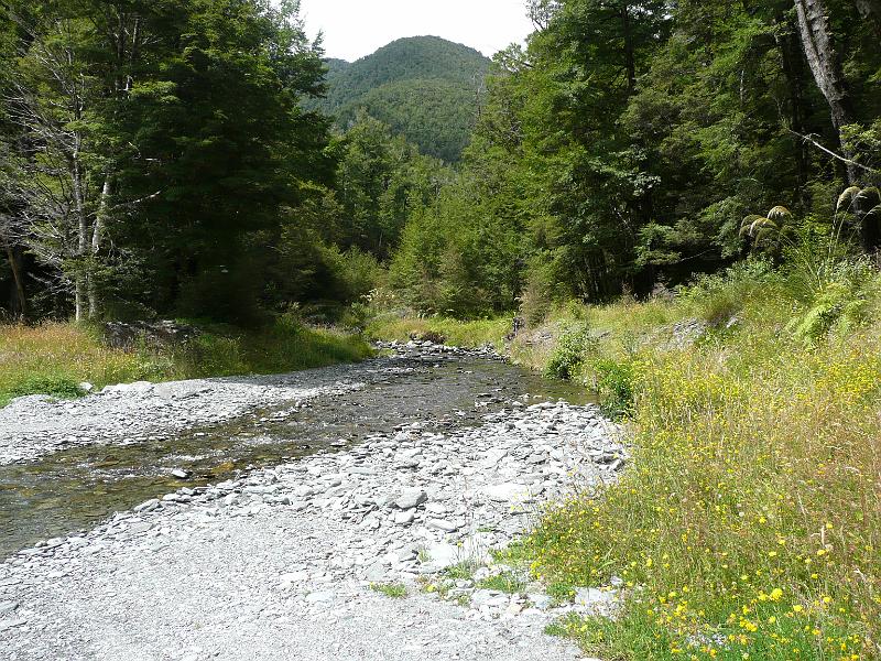 P1050104.JPG