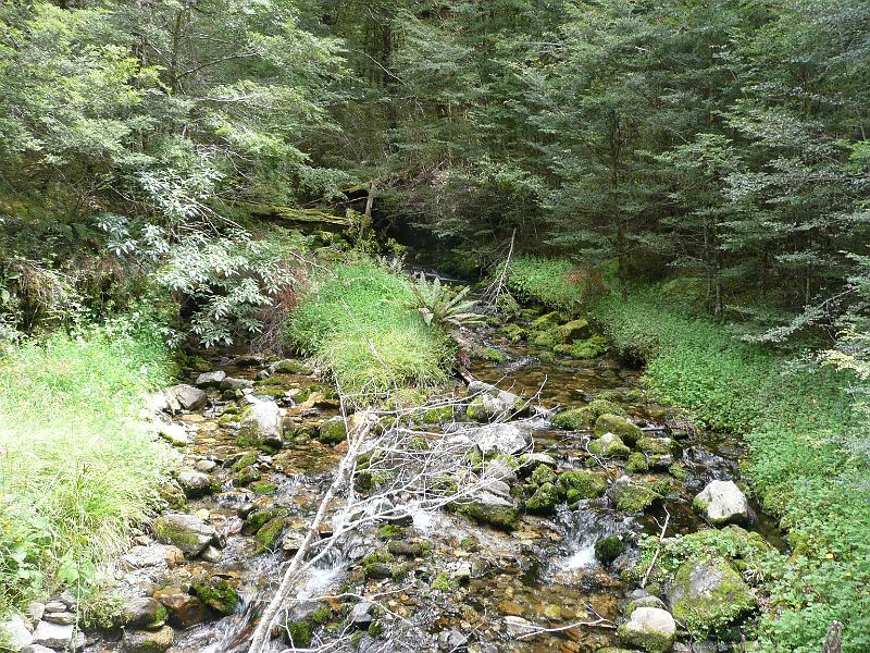 P1050105.JPG