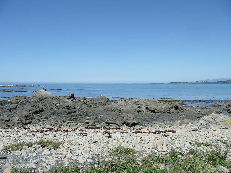 P1050126.JPG