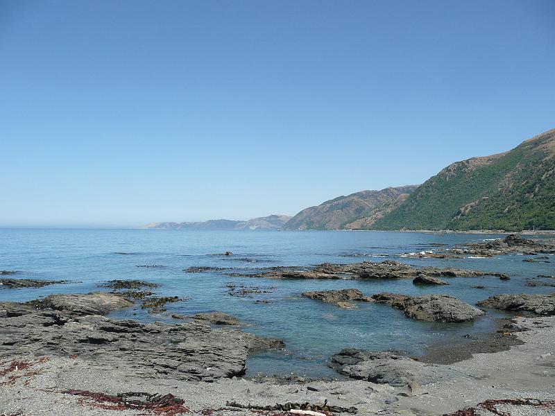 P1050130.JPG