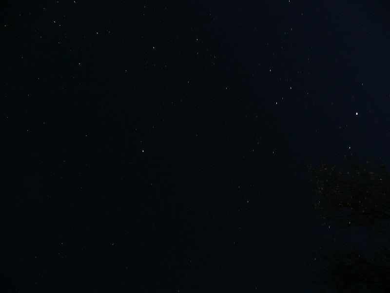 P1050138.JPG